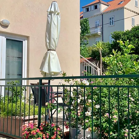 Appartement Casa Toni *
